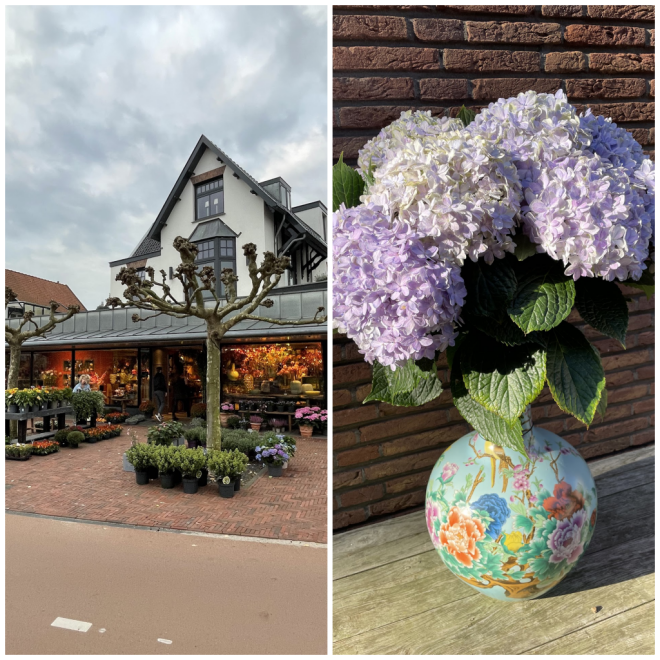 Review Groen Wonen en Groen Flora image 10528