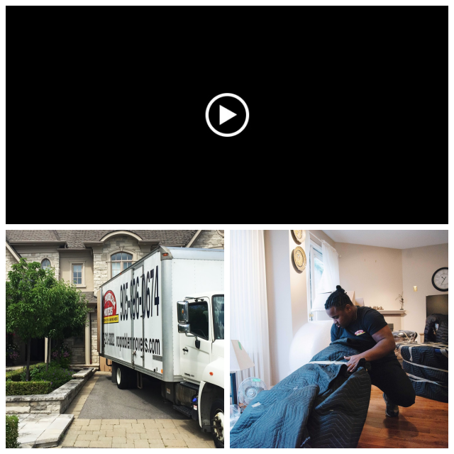 Review No Problem Movers image 91561