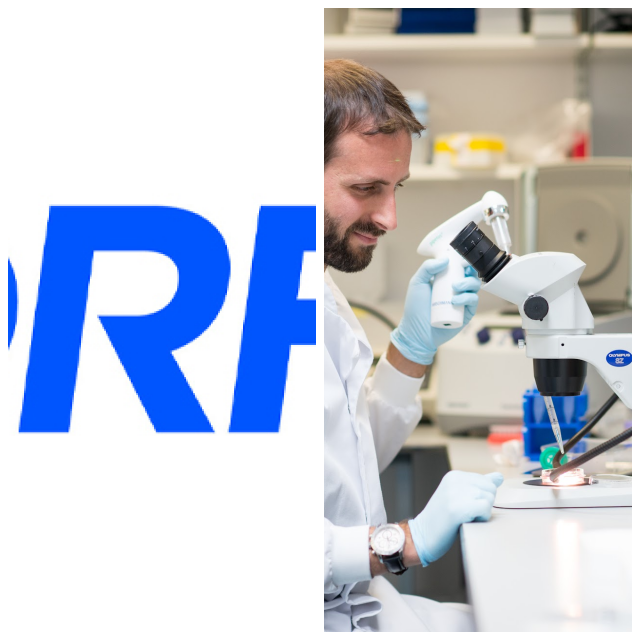 Review JDRF UK image 173796