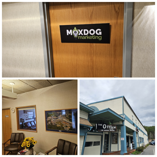 Review Moxdog media solutions image 324252
