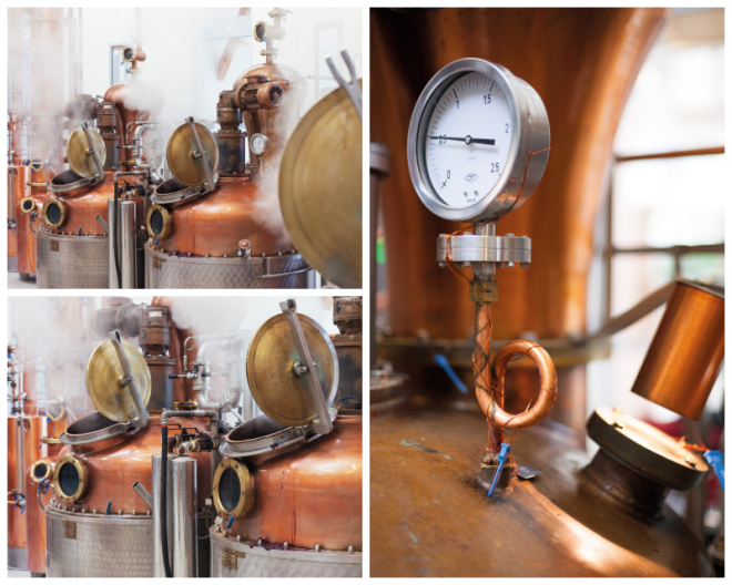 Review Marzadro distillery image 116544