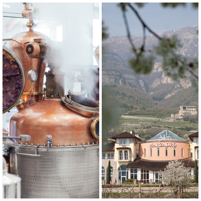 Review Marzadro distillery image 116545