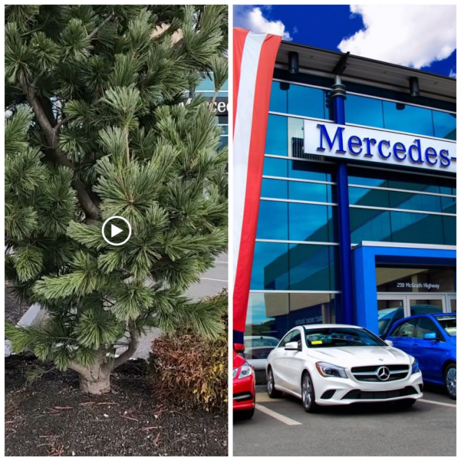 Review Herb Chambers Honda image 37652