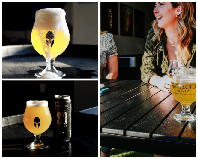 Review Protector brewery image 340898
