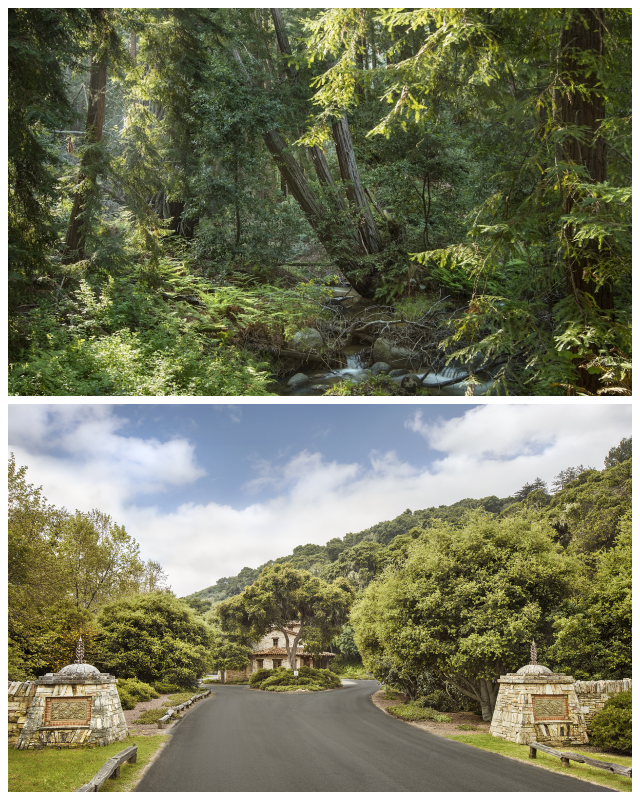 Review Santa Lucia Preserve image 91964