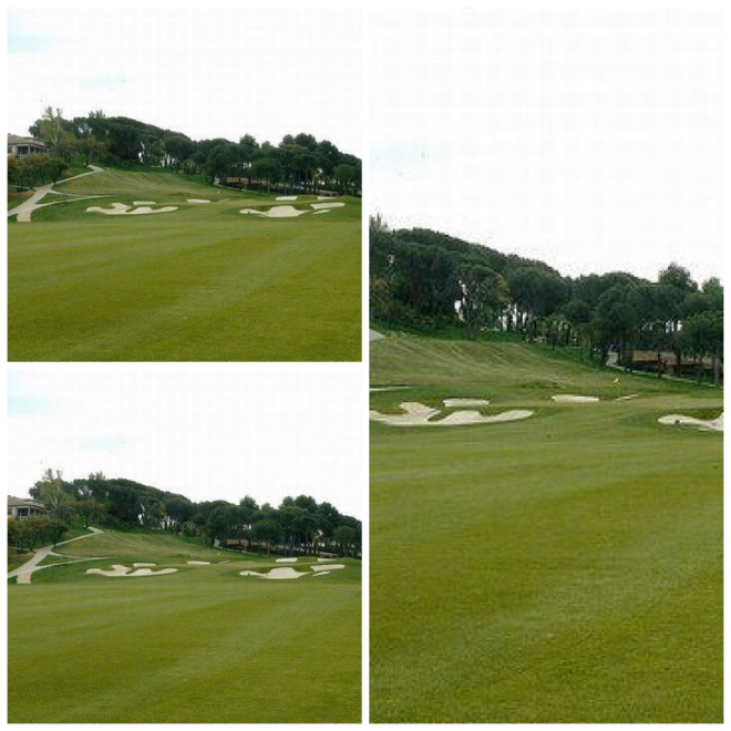 Review REAL CLUB DE LA PUERTA DE HIERRO image 115941