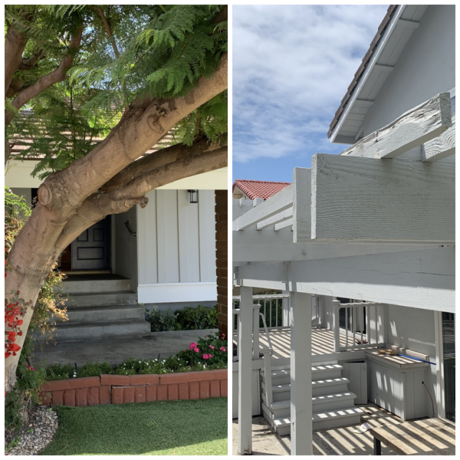 Review Framework recovery image 286801