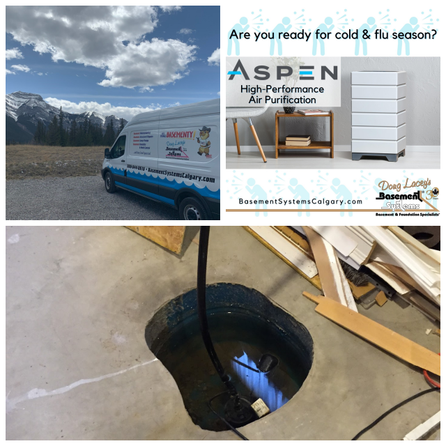 Review Basement Systems Calgary image 178575
