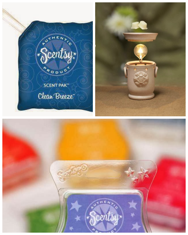 Review Scentsy Candles image 21044