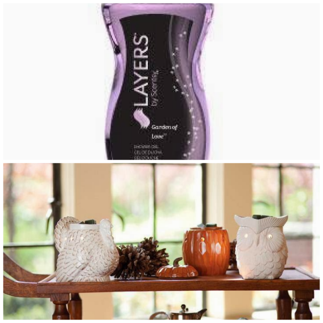 Review Scentsy Candles image 21045