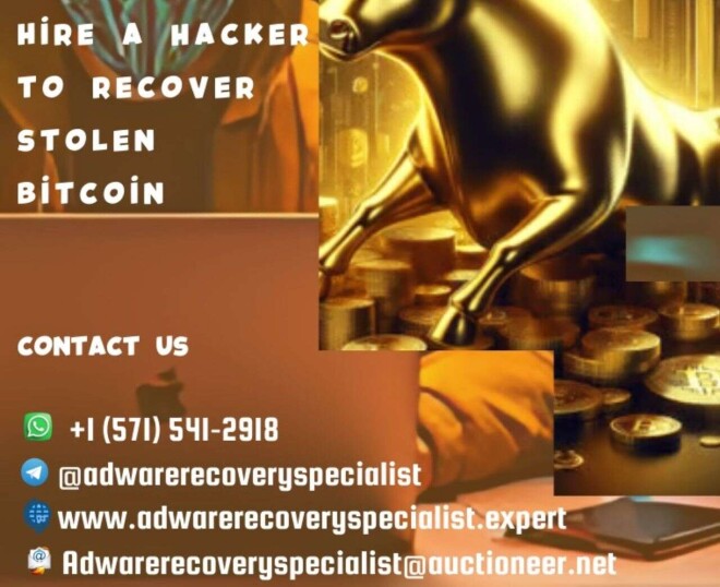 Review HOW TO HIRE THE MOST TRUSTED BITCOIN RECOVERY COMPANY HIRE ADWARE RECOVERY SPECIALIST image 357030