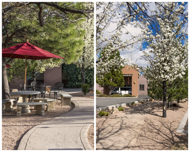 Review Santa Fe Sage Inn image 45805