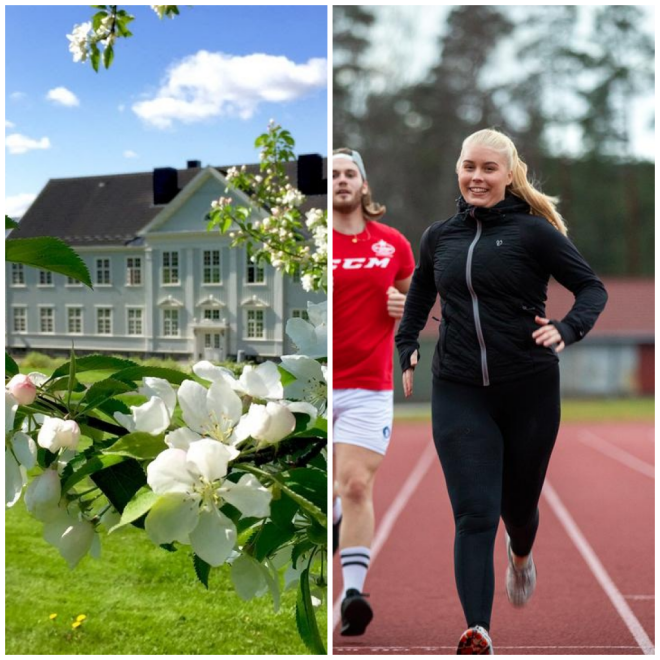 Review Høgskolen i Hedmark image 2551