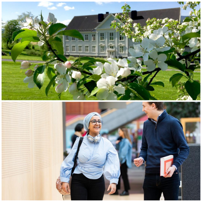 Review Høgskolen i Hedmark image 2552
