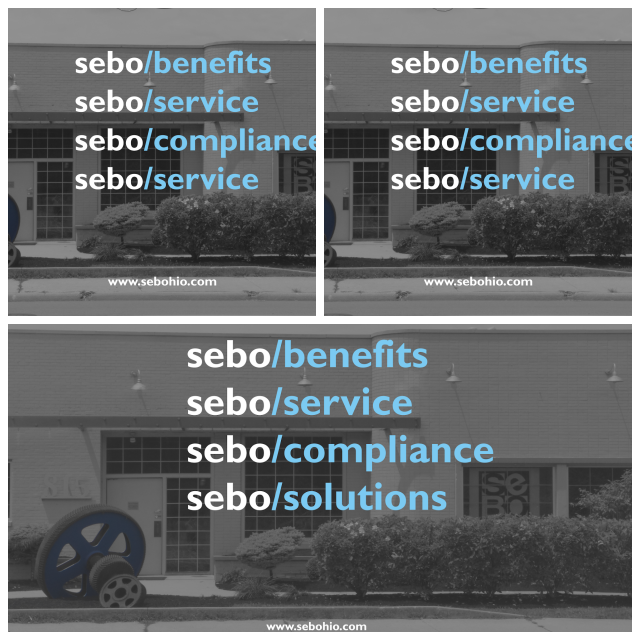 Review The sebo group image 351737