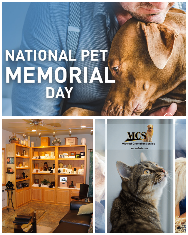 Review Midwest cremation service image 319202