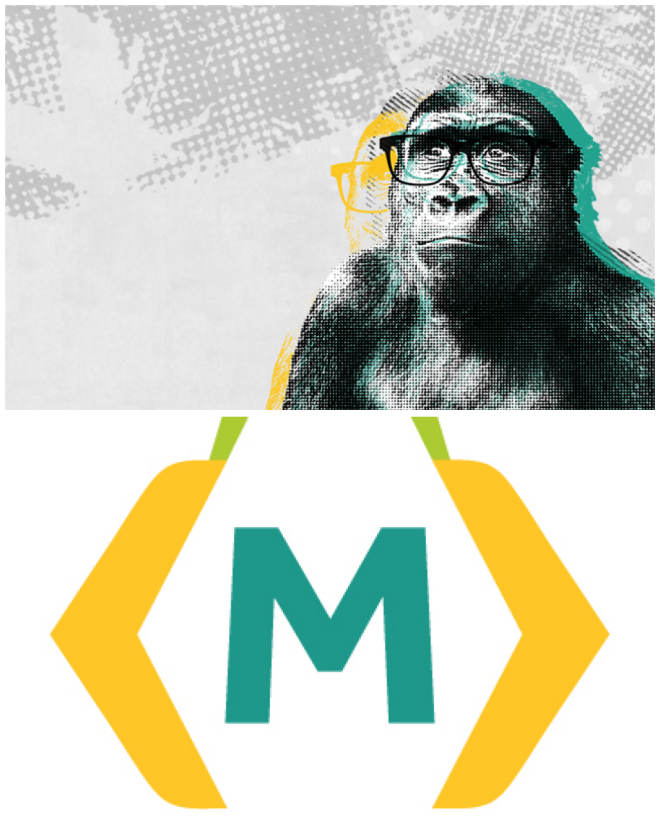 Review Monkee-Boy Web Design, Inc. image 3502