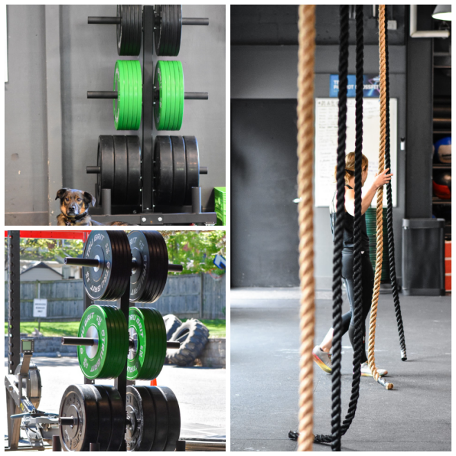 Review Patriot / Potomac CrossFit image 121193
