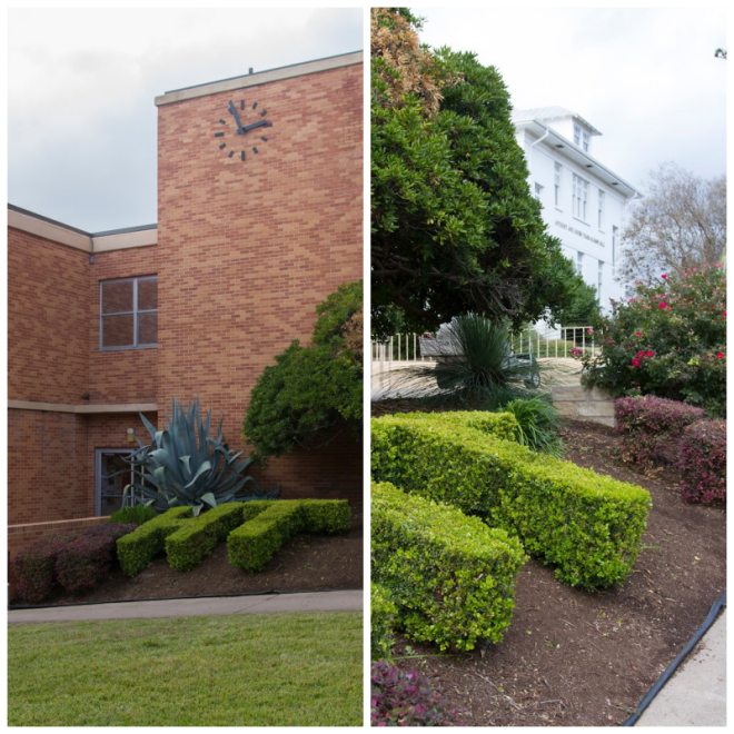 Review Huston-tillotson university image 244527