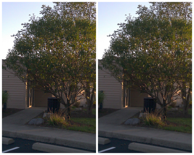 Review PICK Programmers Shop image 213028