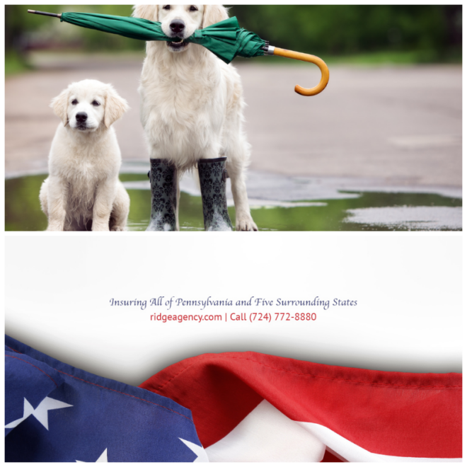 Review Ridge Insurance, Inc. image 111938