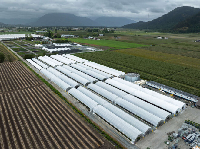 Review Harnois Greenhouses image 358829