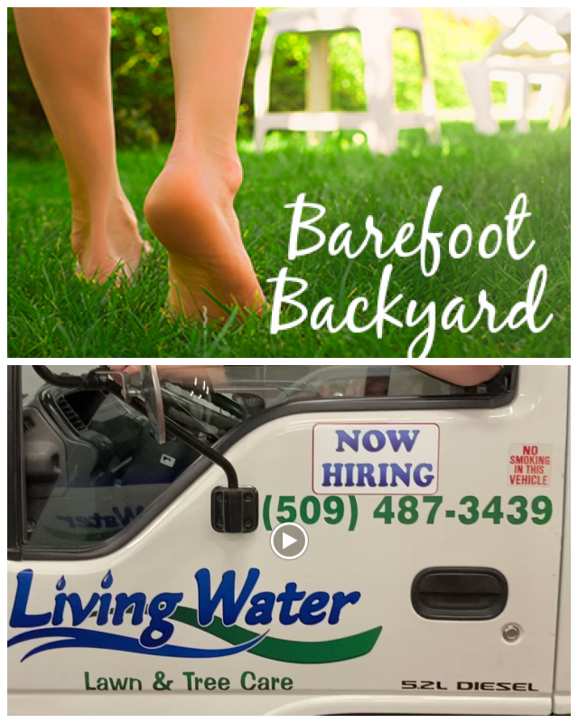 Review Living Water Lawn & Tree Care image 205051