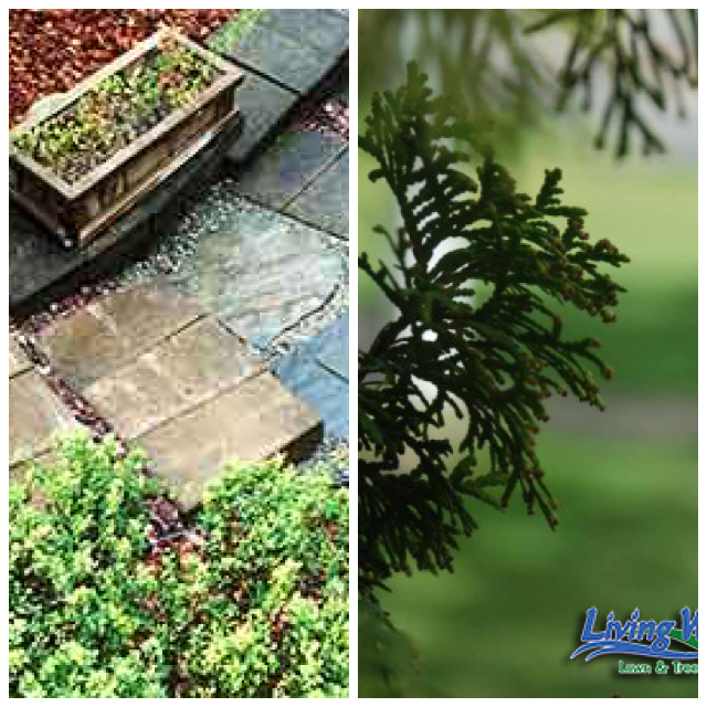 Review Living Water Lawn & Tree Care image 205052