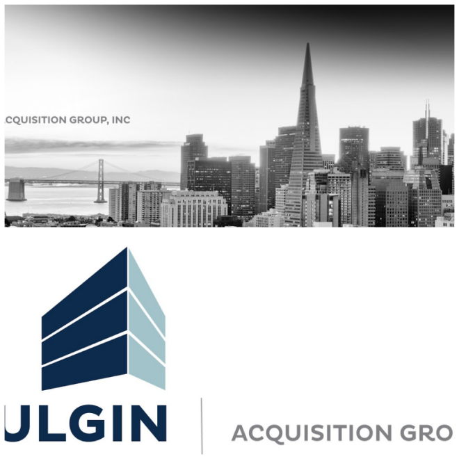 Review Shulgin acquisition group image 354189