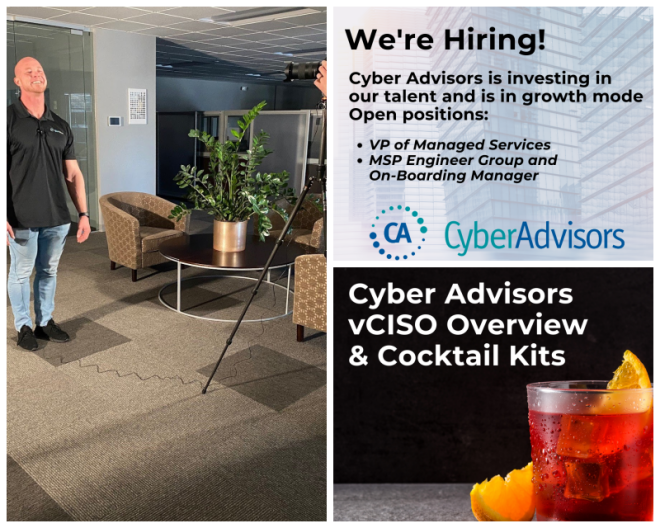 Review Cyber advisors image 259389
