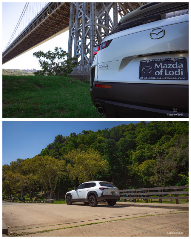 Review Mazda of Lodi image 210290