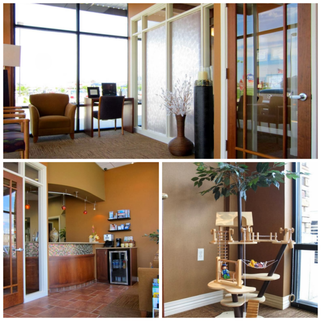 Review Amber m. allen, dds aesthetic & family dentistry image 325608