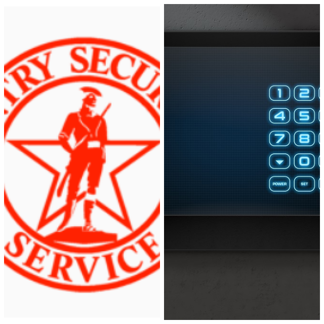 Review Sentry security service image 352298