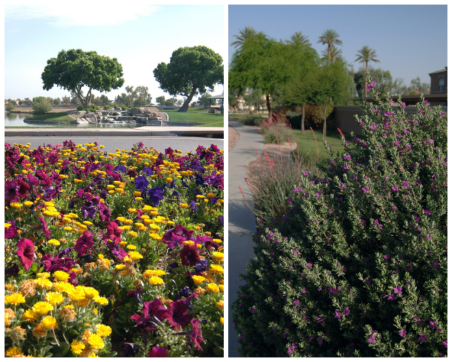 Review Underwood bros., inc. dba/ aaa landscape image 256857
