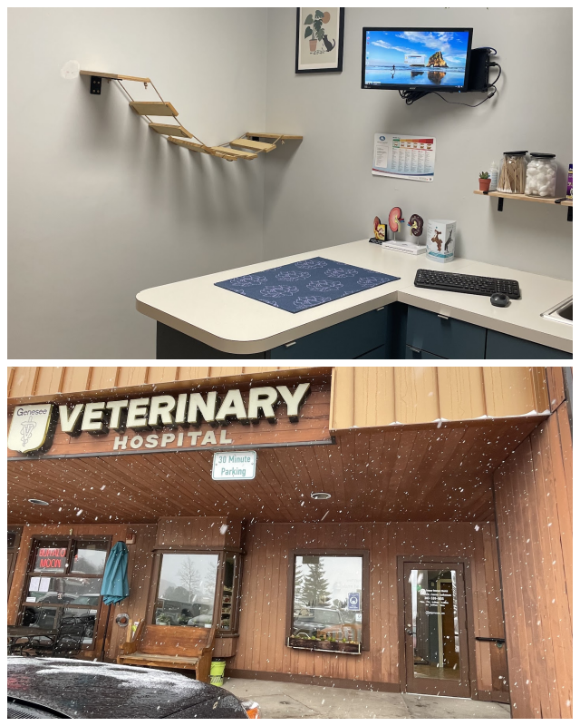 Review Genesee veterinary hospital image 289199