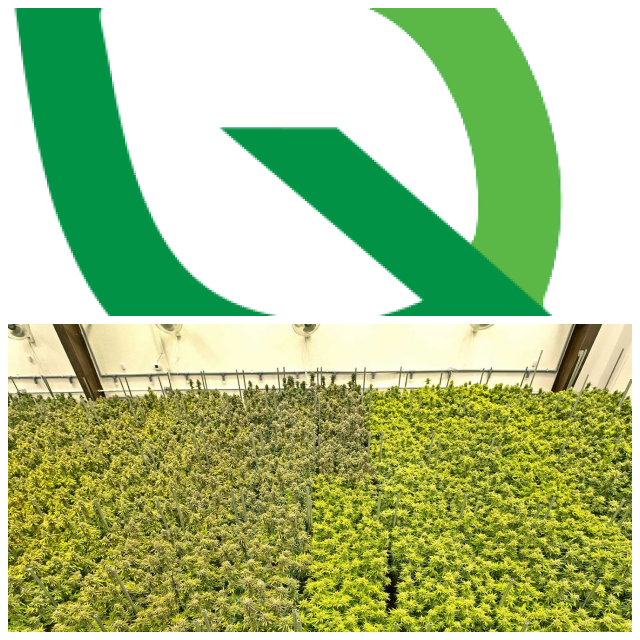 Review Quantum leaf solutions image 342016
