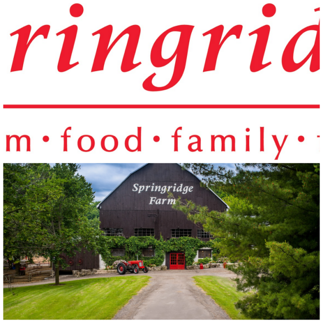 Review Springridge Farm- Milton image 229063