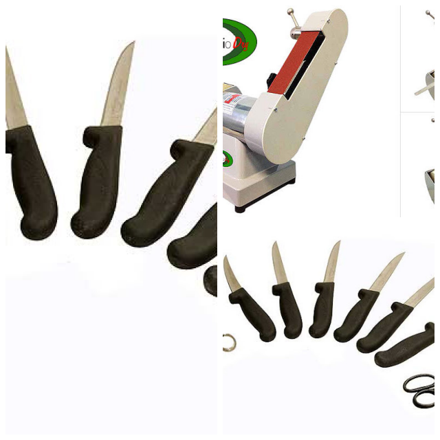 Review MVM srl image 49419