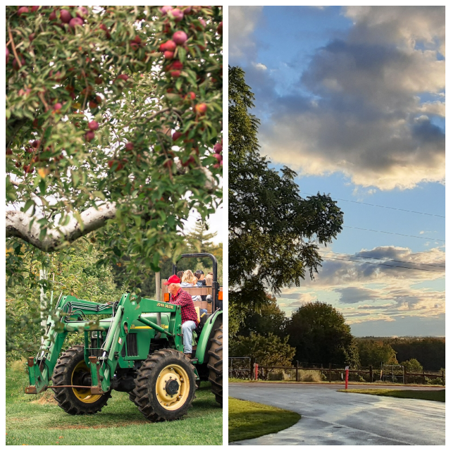 Review Mcdougal orchards llc image 318913