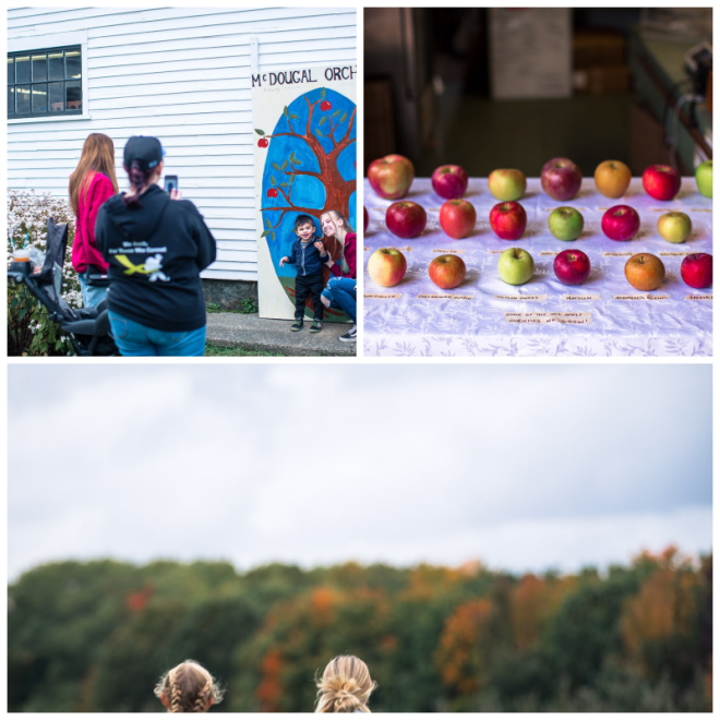 Review Mcdougal orchards llc image 318914
