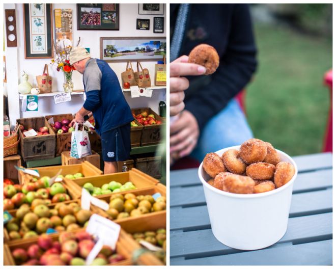 Review Mcdougal orchards llc image 318915