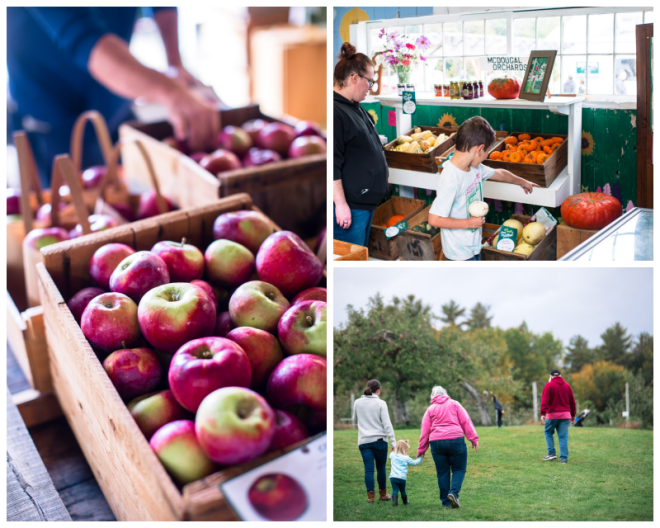 Review Mcdougal orchards llc image 318916