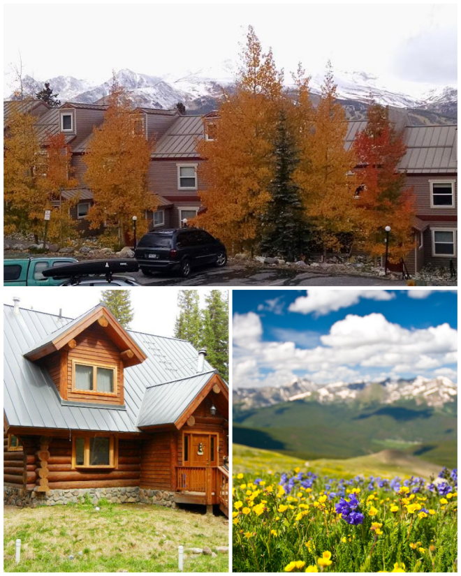 Review Alpine Meadows Property Management image 5412