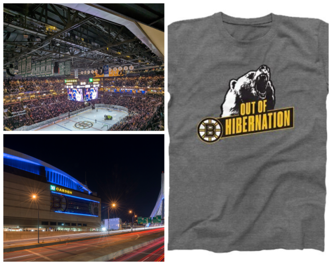 Review TD Garden image 23904