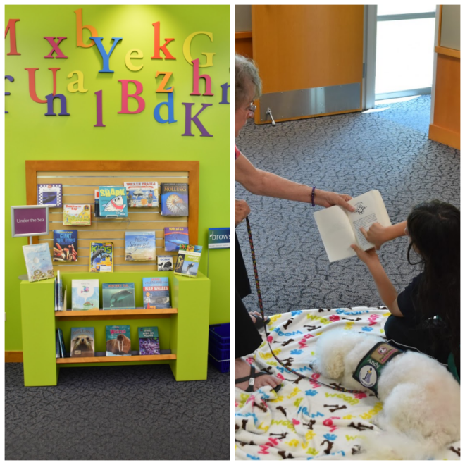 Review Douglas County Libraries – Highlands Ranch Children’s Department- Highlands Ranch, CO image 238338