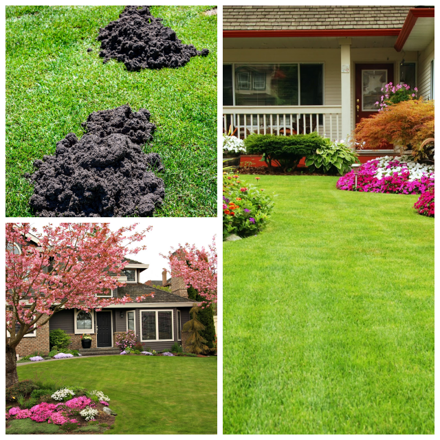 Review Gingrich Horticulture Service image 173882