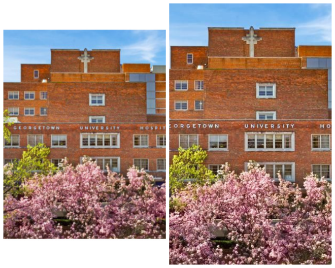 Review Georgetown Univ. Medical Center image 63775