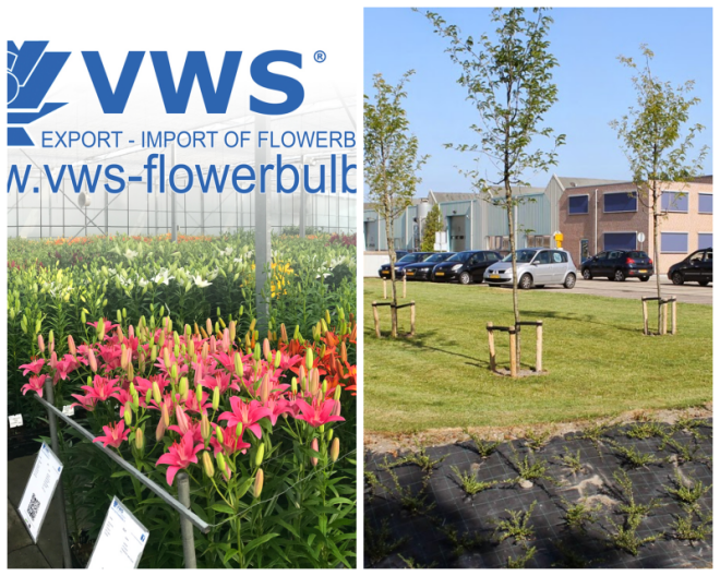 Review VWS Export - Import of Flowerbulbs BV image 21107