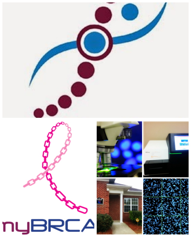 Review Mygenomics, llc image 325421
