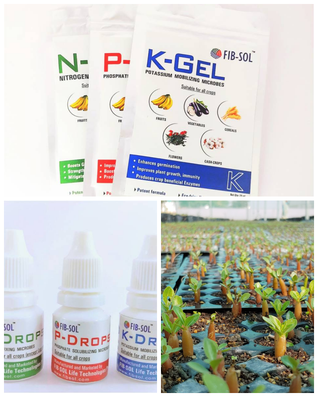Review FIB-SOL Life Technologies Pvt. Ltd image 221149